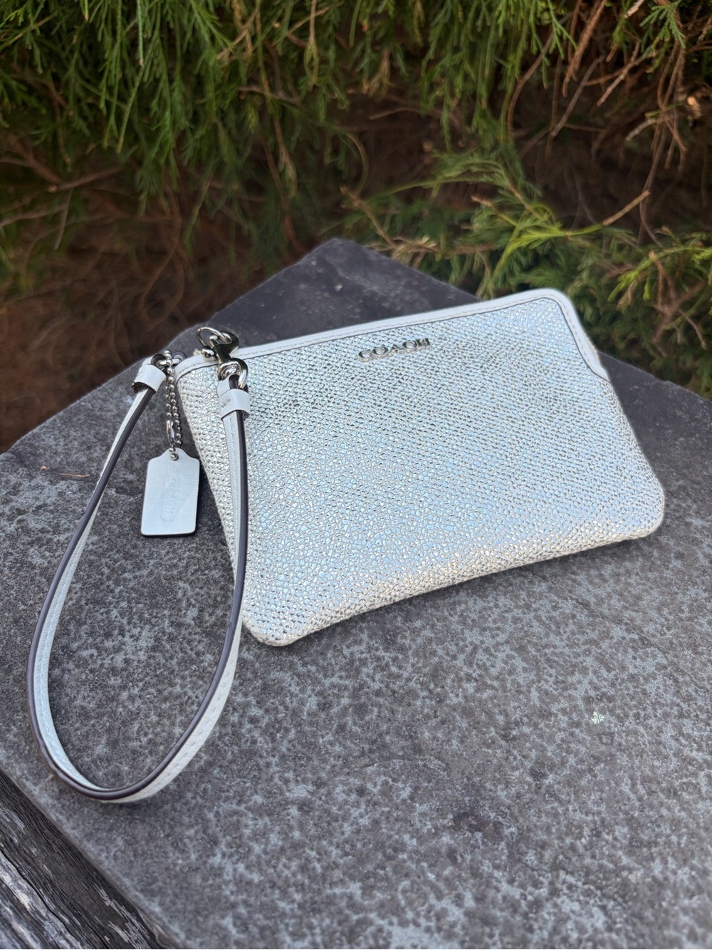 Coach Metallic Pearl Pebbled Leather Zip Wristlet Pouch